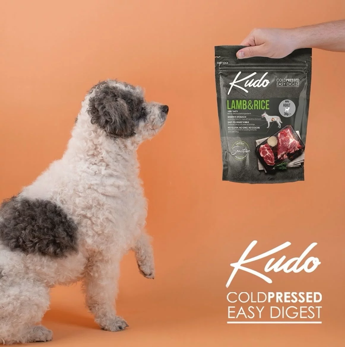 Kudo – Lamb and Rice – Medium Maxi Junior - Image 2